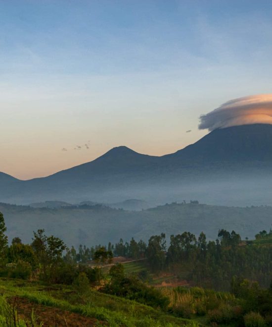 Volcanoes National Park Gorilla Trek – 4 Days